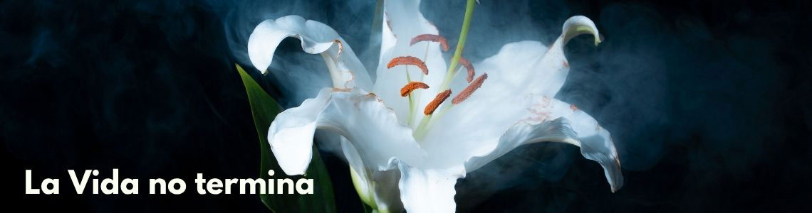 La Vida no termina